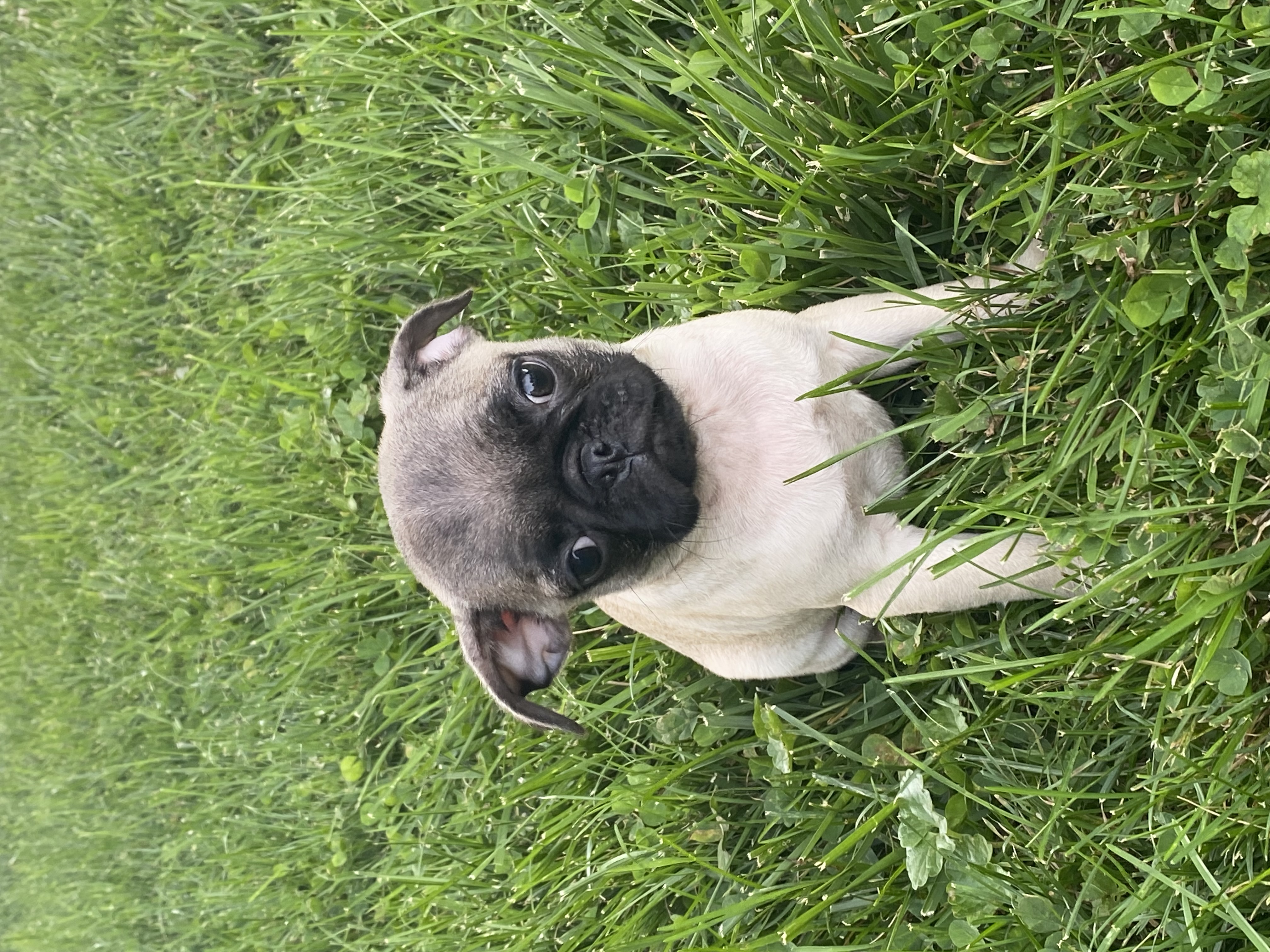 #