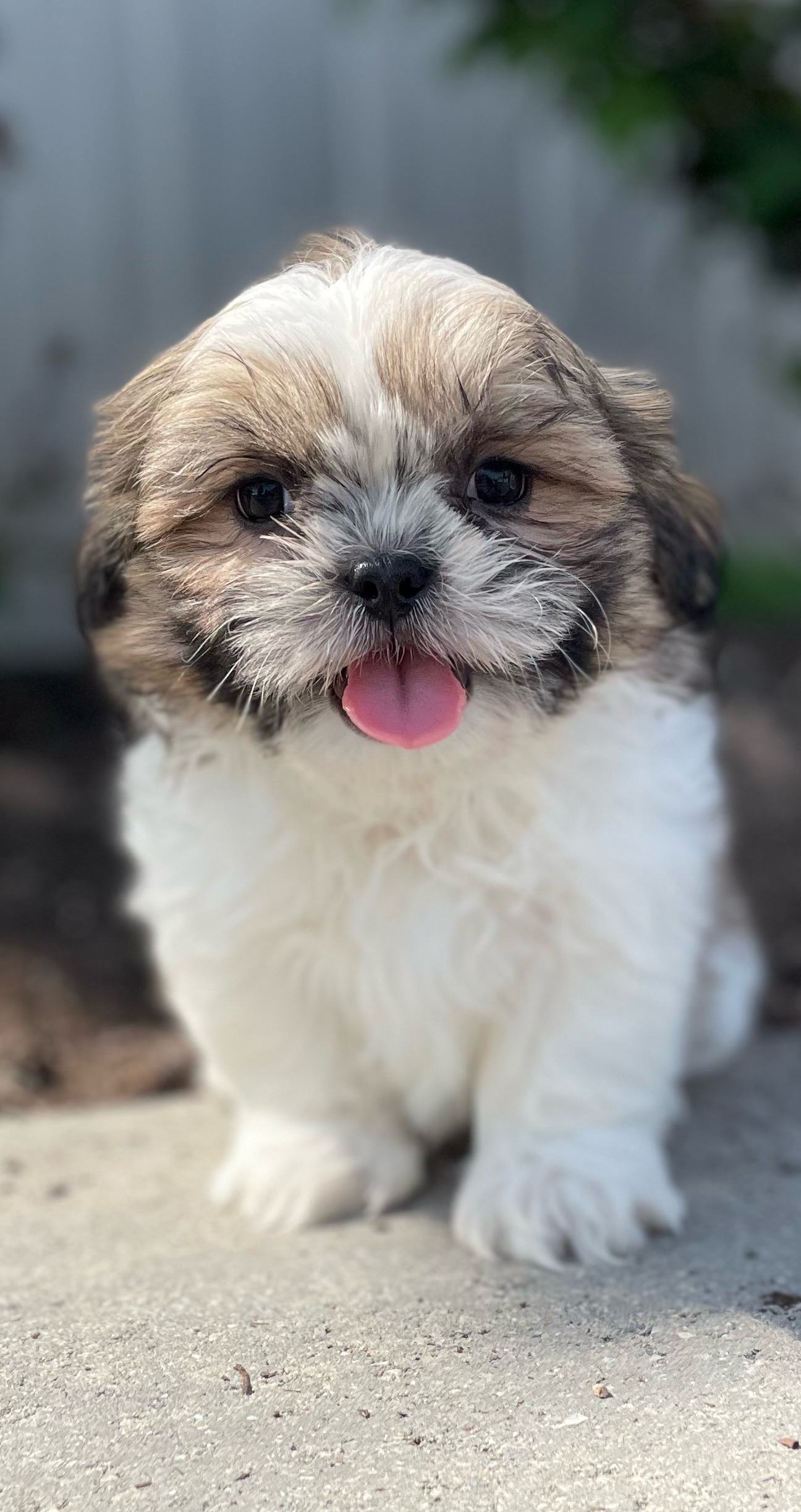 #