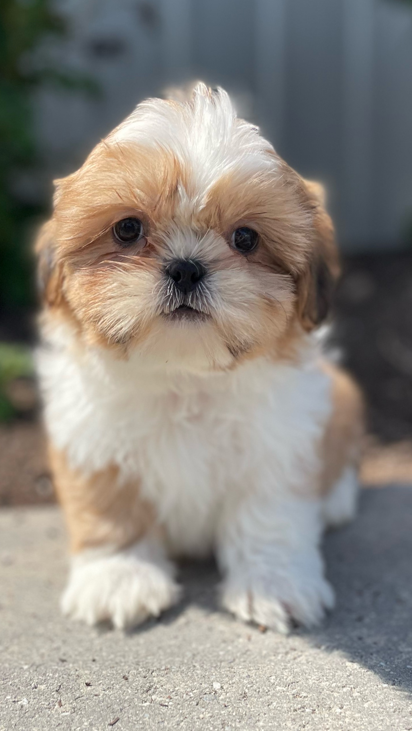#